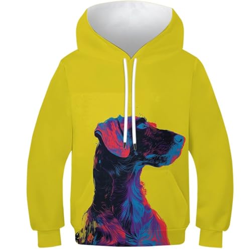 Sweat à capuche ado pull léger fille garçon motif chiot 13-15 ans
