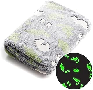 Glow in The Dark Blanket 127cm × 152cm Flannel Fleece Blanket Cosy Bedroom Accessories Super Soft Warm Material Bed Throw Fluffy Blanket for Kids Boys Girls Toddlers Great Gifts (Dinosaur)