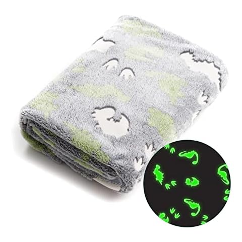 Glow in The Dark Blanket 127cm × 152cm Flannel Fleece Blanket Cosy Bedroom Accessories Super Soft Warm Material Bed Throw Fluffy Blanket for Kids Boys Girls Toddlers Great Gifts (Dinosaur) Cover