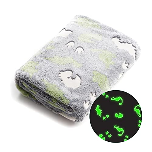 Glow in The Dark Blanket Dinosaur 152 x 127cm Flannel Fleece Blanket Cosy Bedroom Accessories Super Soft Warm Material Bed Throw Fluffy Blanket for Kids Boys Girls Toddlers Great Gifts (Dinosaur)