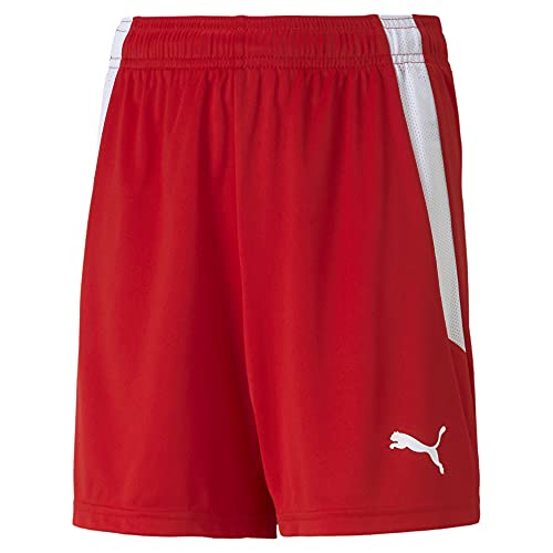 PUMA Men's Teamliga Training 8