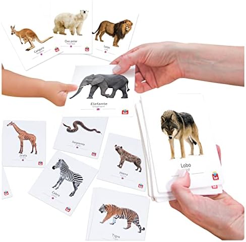 Tool-be Wild Animal Bilingual Flash Cards for Babies and Toddlers | 18 Real Photo Educational Cards for Early Childhood Development