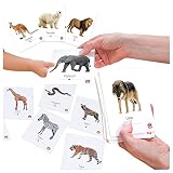 Tool-be Wild Animal Bilingual Flash Cards for Babies and Toddlers | 18 Real Photo Educational Cards