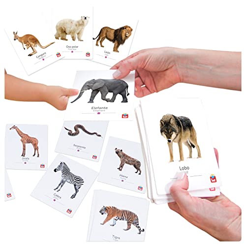 Tool-Be Wild Animal Bilingual Flash Cards For Babies And Toddlers | 18 Real Photo Educational Cards For Early Childhood Development #TOP1
