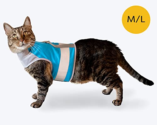 CAT SCHOOL Cat Harness and Leash Set for Outdoor Walks, Training, and Travel - Secure, Soft, Comfort