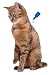 Beaphar No Stress Spot-on pour Chat 3 Pipettes