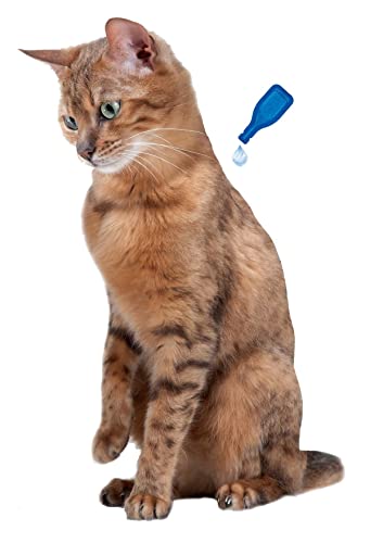 Beaphar No Stress Spot-on pour Chat 3 Pipettes