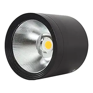 CALANDIS Ceiling Downlights 12W Black Spot Light for Under Eave Bathroom Living Room White