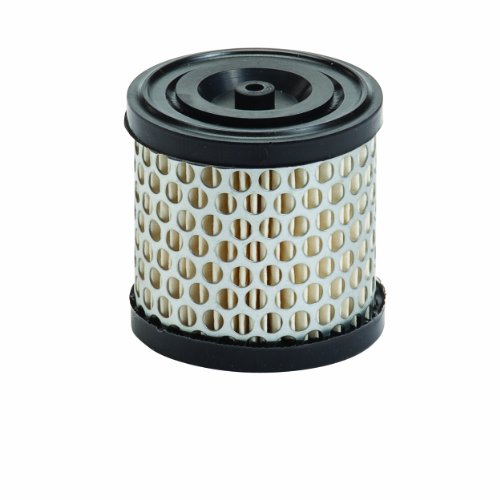Oregon 30-094 Air Filter Replacement for Briggs & Stratton 396424, 396424S