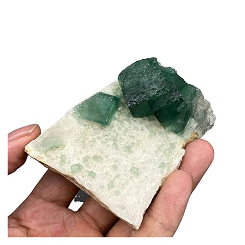 Vert fluorite spécimen minéral de collection authentique JCAKES