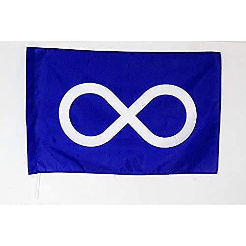 AZ FLAG, Metis people of Saskatchewan and Québec Flag, 2x3 Ft, metis Banner with Sleeve, 100% Polyester, Fade Resistant