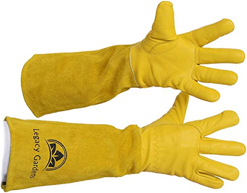 Legacy Gardens Leather Gardening Gloves For Women & Men | Thorn And Cut Proof Garden Work Gloves Suitable For Thorny Bushes Cacti Rose Pruning Landscaping Work (2Xl, Yellow) #TOP4