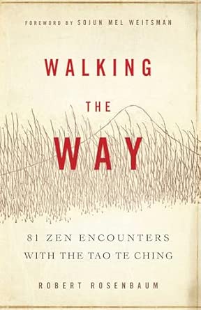 Walking the Way: 81 ZEN Encounters with the Tao Te Ching book cover