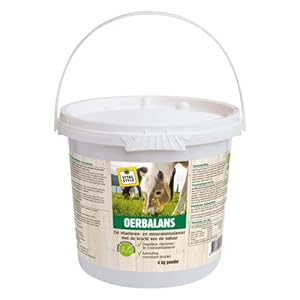 Ecostyle OerBalans Nahrungsergänzung für Haut, Fell & Hufe 4 kg