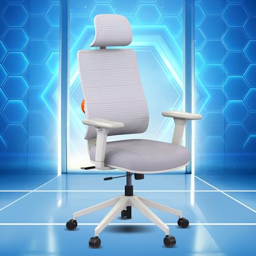 The Sleep Company Flex Ergonomic Office Chair | Intelligent iAdapt Lumbar Support | Patented SmartGRID Technology | Ergonomic Boss Chair for Long Sitting Hours at Office and Home | Grey