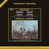 audionova torino music Solflöjt