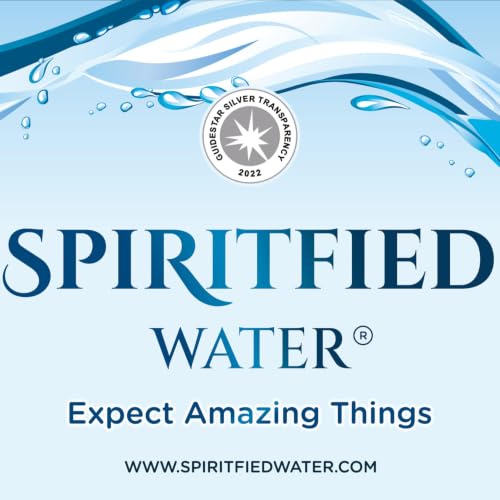 『SPIRITFIED WATER/SPIRITFIED WATER SOLUTION.』のカバーアート