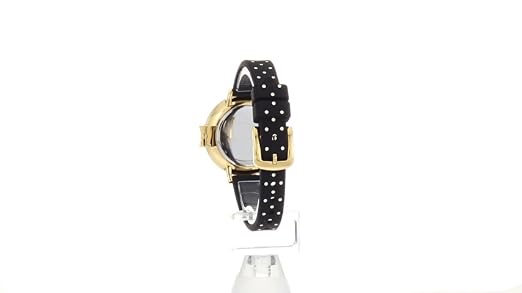 Amazon.com: Kate Spade New York Women