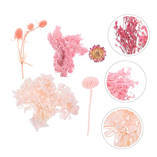 Flores secas prensadas naturales para manualidades 100 piezas miniatura 3
