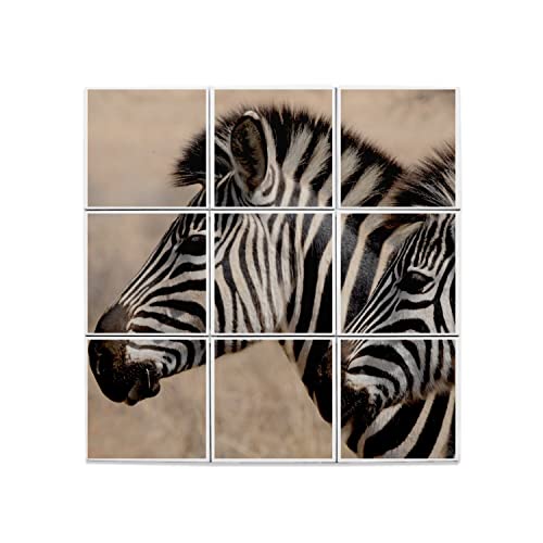 Carreaux céramique décoratif d'art au design animaux sauvages de la savane