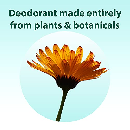 All Good Deodorant, No Aluminum, Vegan (Rose Geranium & Jasmine)(2-Pack) #TOP2