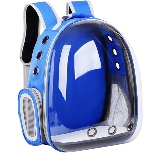 YQYQY FDfUC ybgbN y e L ^ L[obO  h[ ʋC UVJbg ܂肽 RpNg bNTbN  nX^[  o ʉ@ s ԍ h  ybgJtF nEX 