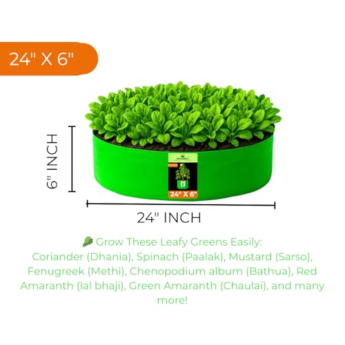 Image of Kingwell grow bags 24x6 inch pack of 6 Grow Bag For Terrace Garden Leafy Vegetable Plant Grow Bags Fruits Growing Containers For terrace Gardening