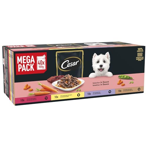CESAR Adult Dog Food Pouches Selection 40x100g