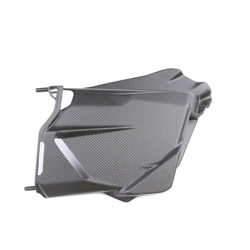 Accessoires carénage carbone Streetfighter V2 pour rajeunir votre moto