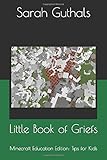 Little Book of Griefs: Minecraft Education Edition: Tips for Kids (1)
