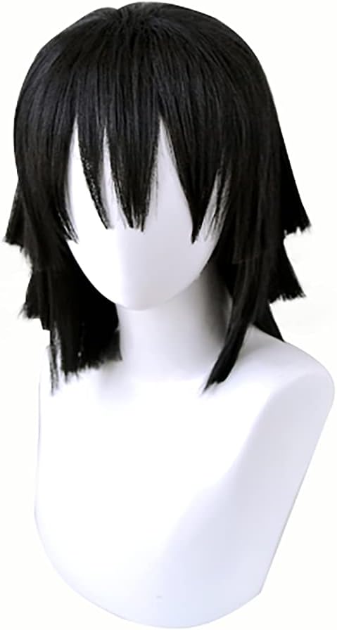 Anime Cosplay Wig Long Short Synthetic Hair for Halloween Costume Party with Free Wig Cap (Short Black)