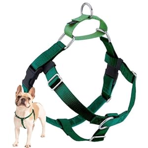 2 Hounds Design Freedom No Pull Dog Harness, Adjustable Harness, Easy Walking & Comfortable Control, Fits Small, Medium & Large Dogs, Solid Colors, Made in USA, 1″ LG, Kelly Green