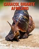 caracol gigante africano en cuba  Caracol gigante africano: Libro para niños con imágenes hermosas y datos interesantes sobre los Caracol gigante africano