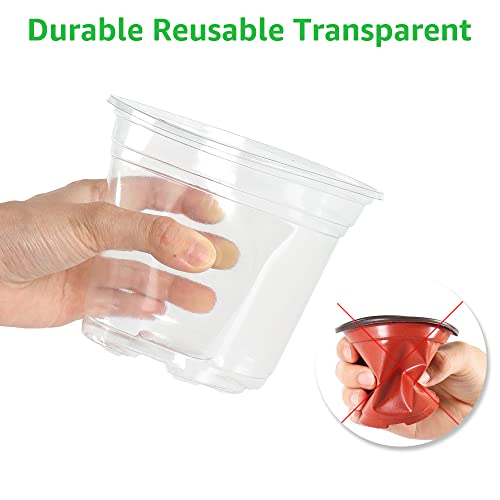 Bonviee 36 Packs 3.5/4/5 Inch Clear Nursery Pots With Humidity Domes, Variety Sizes Seed Starting Pots With Drainage Holes, Transparent Garden Containers For Succulents, Flowers And Cactus-Clear #TOP4
