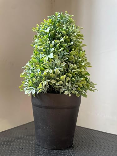 Image of Artificial Realistic Round Leaves Bonsai Potted Plant for Home Office Kitchen Living Room Hotel Restorent Table Corner Center Piece | Natural Look | Show Piece | 36 cm