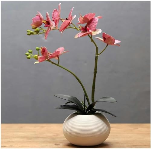 Jarrones Ceramica para Centro Mesa Marca Wzglod