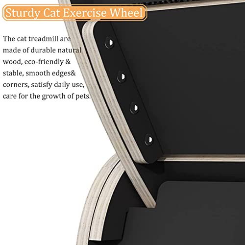 Rueda de ejercicio para gatos – Cinta de correr interior para animales pequeños, dispositivo de fitness y pérdida de peso, juguete para mascotas