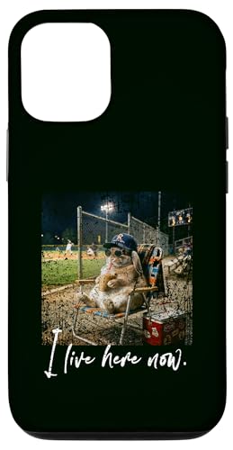 Distressed I Live Here Now RABBIT �싅 ���킢�� ���� �X�}�z�P�[�X iPhone 12/12 Pro �p