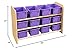 Wood Designs 13809PP (Woogp) See-All Storage with (12) Purple Trays