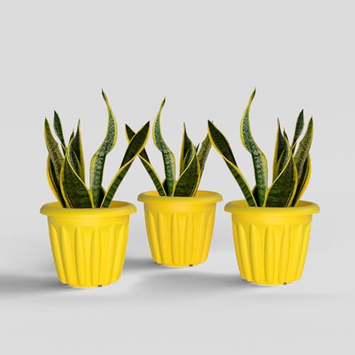 Image of YUCCABE ITALIA SHERA Floot 12 Inch Plastic Flower Pot 3 Piece Set of Round Shape Planter for Home Garden Seedling Planter for pots (Yellow)