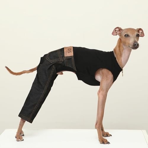 D DOGGY STAR C^O fj p[X Ȃ Lk ^ ^ ^ t ĕ H ~ (, M)