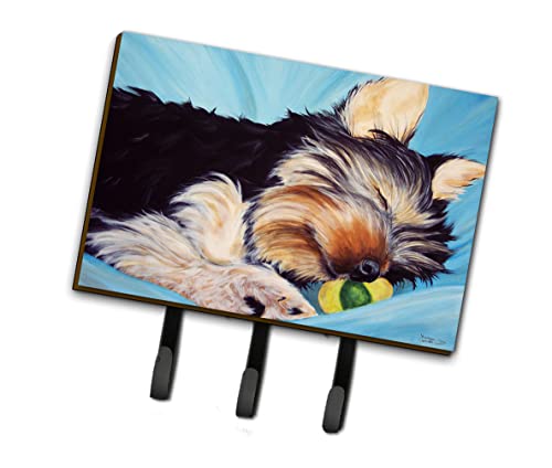 Is a yorkshire terrier a good first dog