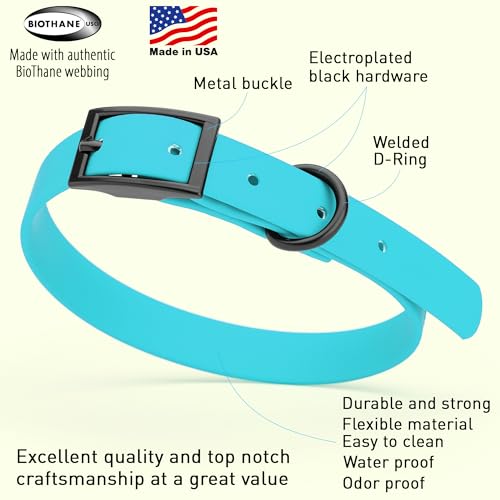 Image of Dogline Biothane Waterproof Dog Collar Strong Coated Nylon Webbing with Black Hardware Odor- Proof for Easy Care Easy to Clean High Performance Fits Small Medium or Large Dogs, Sky Blue