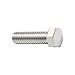 FOREVERBOLT FB3MHEXB1620100 Hex Head Cap Screw M16-2 X 100mm Long, 316 Stainless Steel, NL-19 Finish, EA, 1
