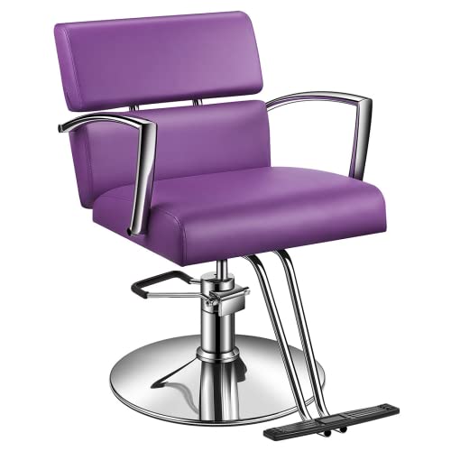 Baasha Beauty Salon Chair Hydraulic Styling Chair, Purple Styling Chair for Salon, Beauty Equipment Salon Chairs for Hair Stylist, Hair Stylist Chair, Hydraulic Chair