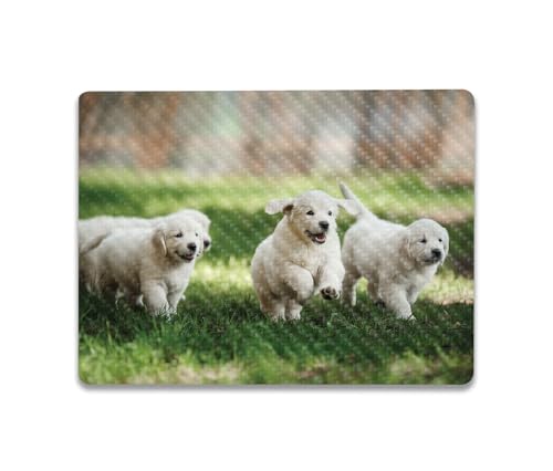 Image of MightySkins Carbon Fiber Skin Compatible with Microsoft Surface Laptop Go 3 (2023) Full Wrap Kit - Puppy Pack | Protective, Durable Textured Carbon Fiber Finish | Made in The USA
