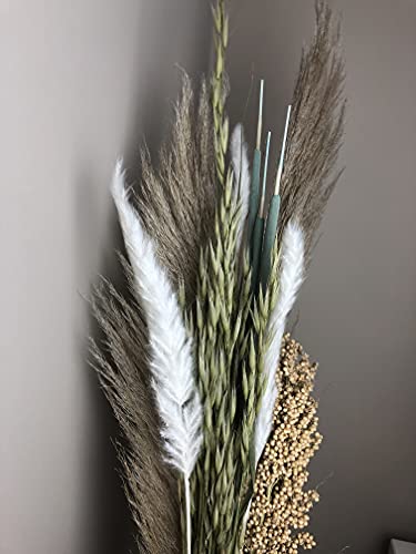 Bouquet di fiori secchi di lusso di Pampas Bloom - Image 3