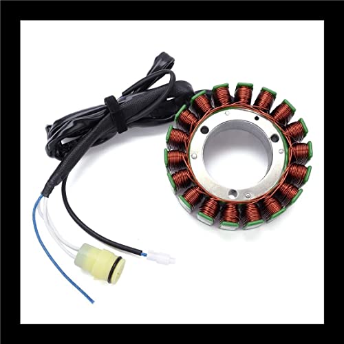 TERAM LOISIRS Stator Allumage Compatible pour Kawasaki ZX 1200 Ninja ZX-12R de 2000 et 2001 Neuf France