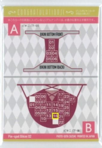 Amazon.co.jp: HIT'S/岸明日香6 -Vol.6- ピンスポビキニカード02#16/27