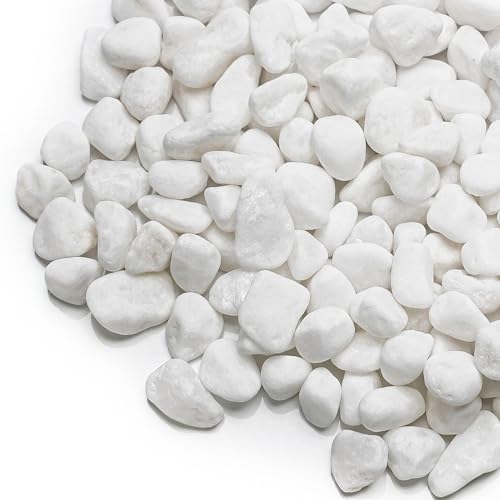 Onlyfire 5|h  1/5C` Ȓ     AAԕrAAAO̒̑p